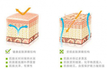 ����Ƥ����ô��