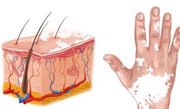 ����Ӧ����ô����